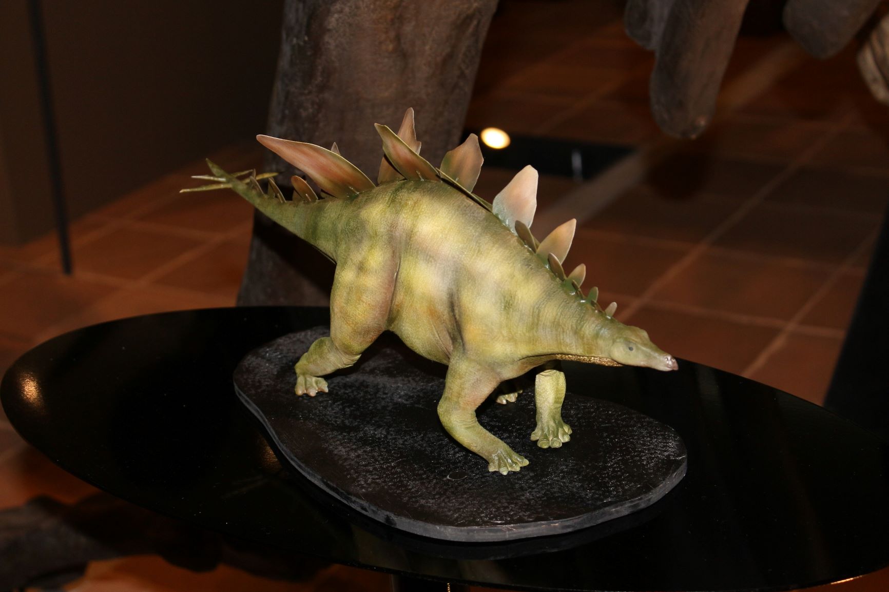 いのちのたび に新しい恐竜模型が登場 市内博物館が再開 北九州ノコト