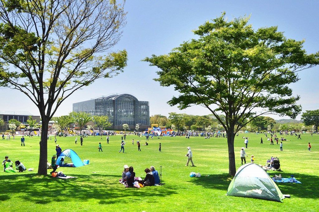 グリーンパークで開催 宗像フェス Think Eco Kitakyu チケット先行販売中 北九州ノコト
