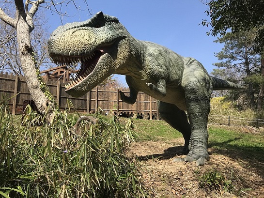 グリーンパークにオープンした恐竜地区 響灘ディノパーク を親子で体験 北九州ノコト