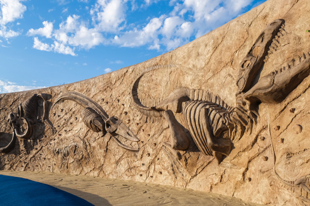 グリーンパークに 化石の谷 オープン 化石が埋まる岩壁でボルダリング 北九州ノコト