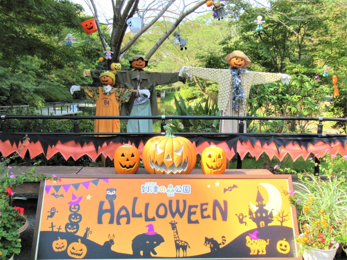 10月の 到津の森公園 はハロウィン一色 マジカルハロウィン 開催 北九州ノコト