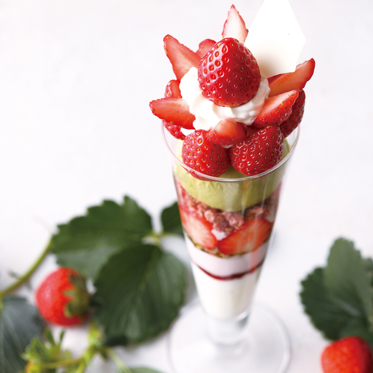 いちごパフェ🍓Lサイズ | かの蜂ハニーガーデンのニュース