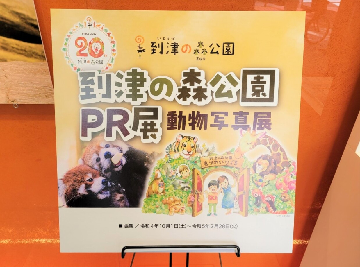 到津の森公園』動物写真展 NCB街かどギャラリーで開催中【北九州市小倉