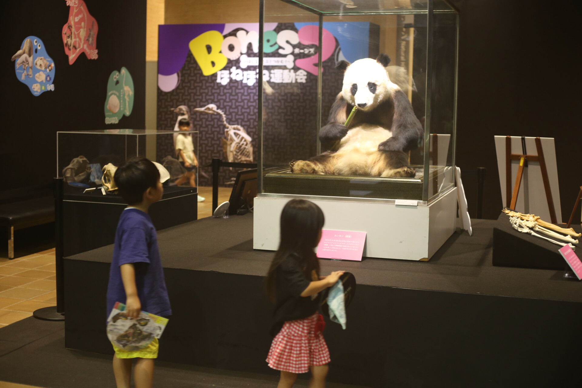 親子で楽しむ＜骨の世界＞？ いのちのたび博物館・夏の特別展「Bones2